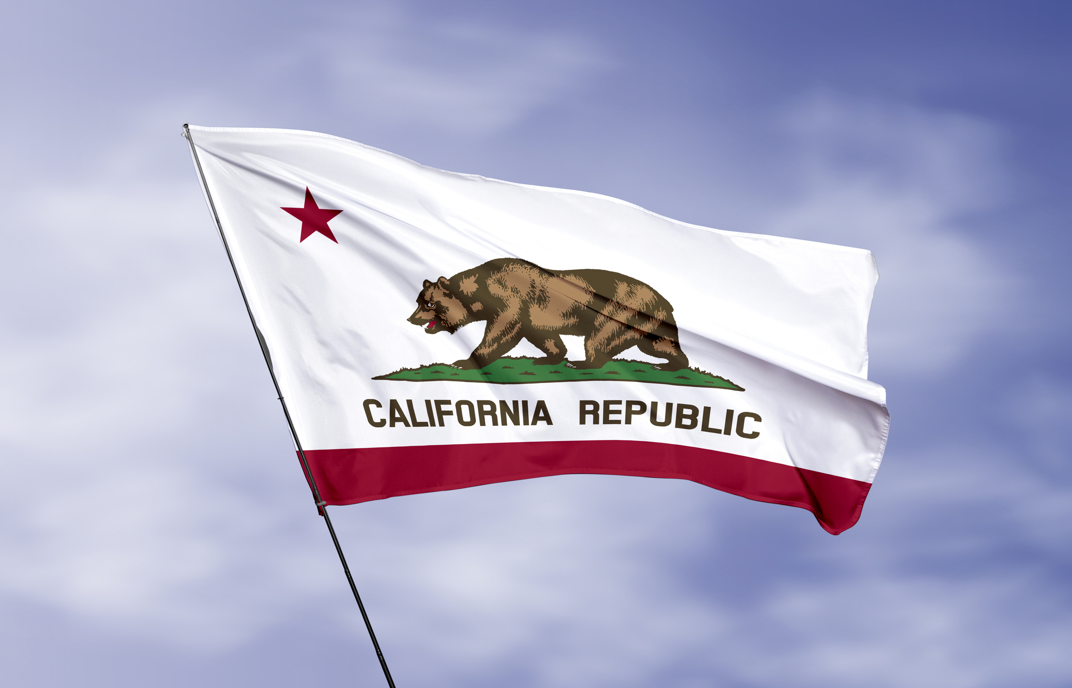 State flag California.